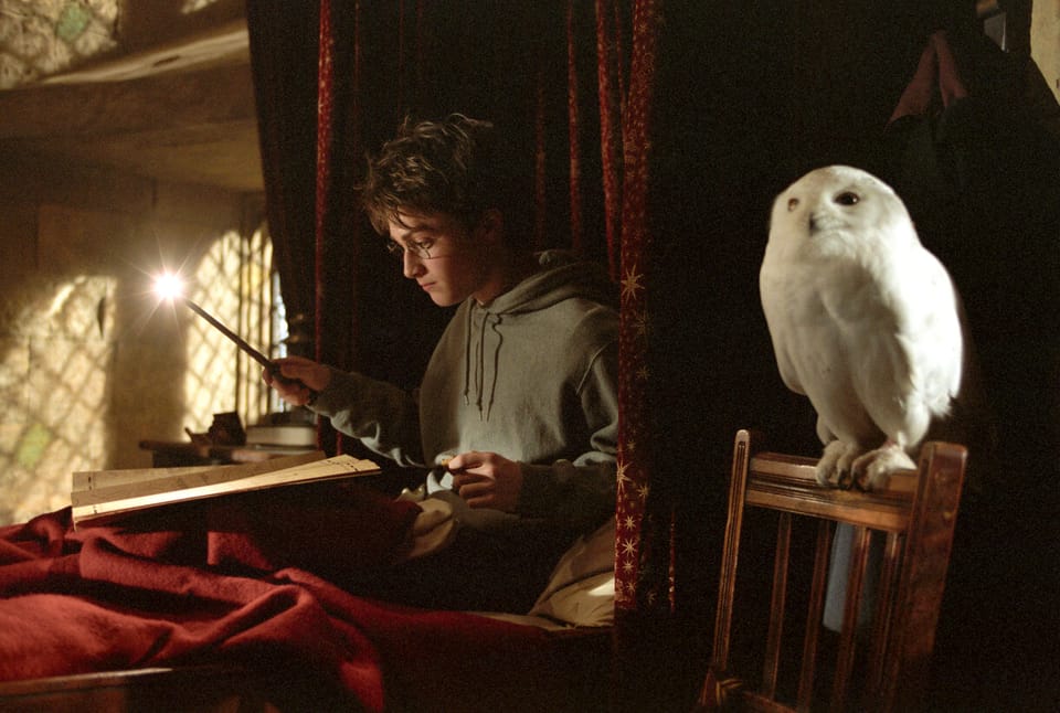 Quiz: Discover your Harry Potter Wand